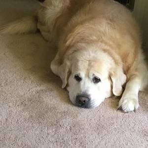 Meet your Posher, Алекс